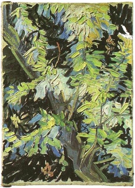 Description: Description: Description: Description: Description: Vincent van Gogh's Blossoming Acaacia Branches Painting