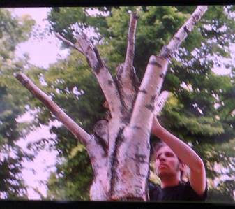 tree-film